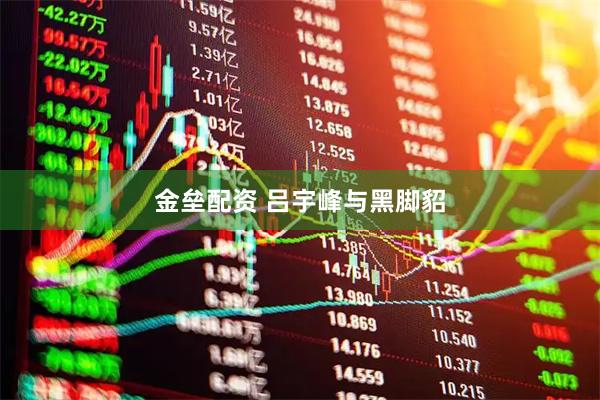 金垒配资 吕宇峰与黑脚貂